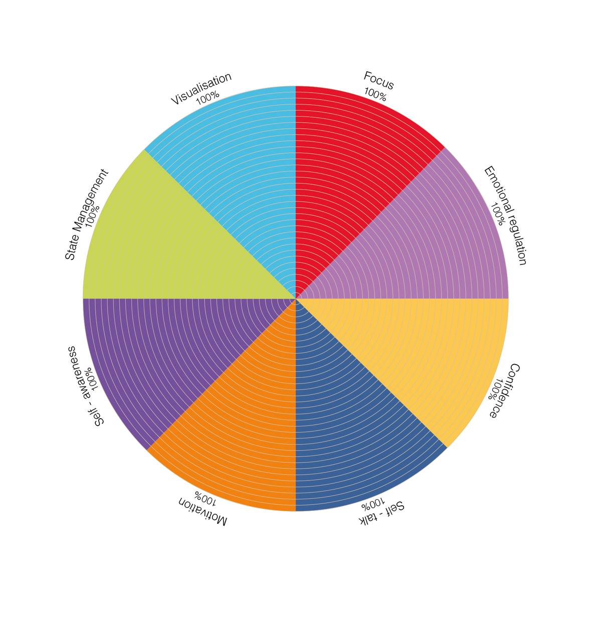 8 Dimension Assessment Wheel